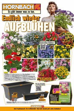 Hornbach
