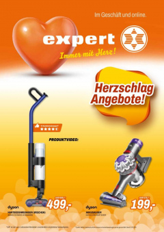 Expert