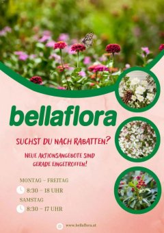 Bellaflora
